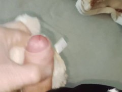 Gray wolf - Screenshot 9 of 16 - Dino