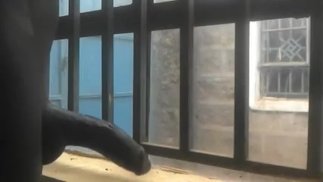 RISKANTER HANDJOB DURCH DAS FENSTER 😮