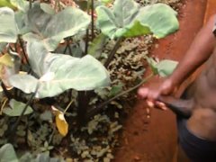 18 yo ALMOST CAUGHT MASTURBATING OUTSIDE