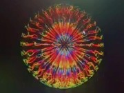 Cashmaster Mental Massage (HYPNOTIC) in Portuguese)