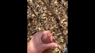 Public Cum