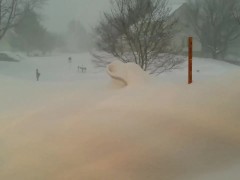 Mineral - Sadder Star