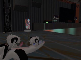 Two cute cats' first time at a VR furry convention