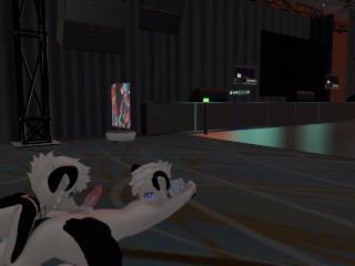 Two Cute Cats' first Time at a VR Furry Convention