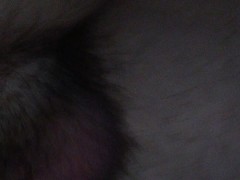 Smacking my ass while fuckin my pussy
