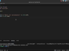 #2 VS Code and how program code is executed - Screenshot 11 of 16 - Programming