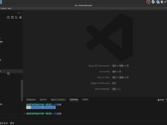 #2 VS Code and how program code is executed - Screenshot 4 of 16 - Anal