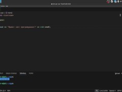 #2 VS Code and how program code is executed - Screenshot 6 of 16 - Programming