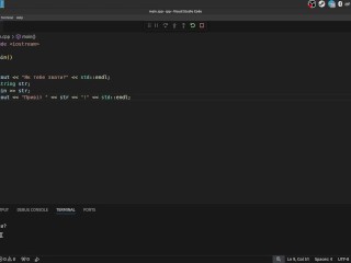 #2 VS Code и как выполняется программный код