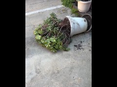 Log #2 - Screenshot 9 of 16 - Local