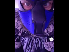 Puppy socks tail plug hood nipple clamps teasing ass - Screenshot 4 of 16 - Paw Socks