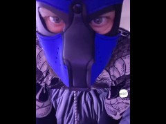 Puppy socks tail plug hood nipple clamps teasing ass - Screenshot 5 of 16 - Puppy Play