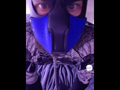 Puppy socks tail plug hood nipple clamps teasing ass - Screenshot 6 of 16 - Amateur