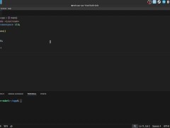#3 Primitive data types - Screenshot 3 of 16 - Compilation
