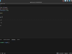 #3 Primitive data types - Screenshot 7 of 16 - Programming