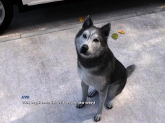 Race Of Life #08 • Visual Novel PC Gameplay [HD]