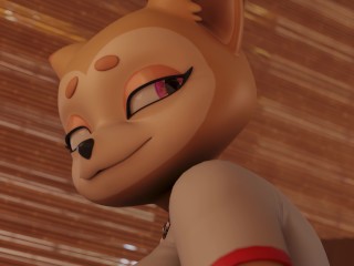 Fun with Shiba