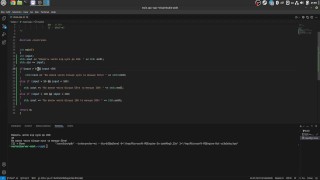 #9 User's input, Ciryllic console