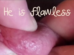 Beautiful Frenum Cock " flawless"