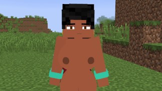 Chel gros cul et seins hentai minecraft jenny xhatihentai gameplay