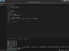 #11 Arrays and const