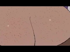 Хентай 2d/3D hentai