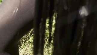 trailer_Mesmeriza_26_01_MOV_CINEMA_CLIP_359_356_20240815134026049_