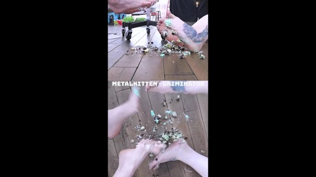 2 CAMS 4 FEET CAKE SMASH