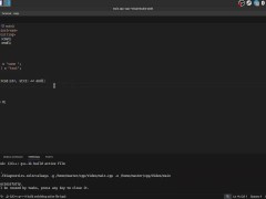 #16 String data type C-Style - Screenshot 13 of 16 - Coding