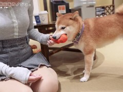 居酒屋デート後に玄関先で即フェラ抜き♡M男彼氏をた～っぷり焦らし寸止めでイジメて溜めた濃厚精液を口内射精ごっくん　主観 Vlog 日本人 カップル 巨乳 素人 調教 手コキ 変態 淫乱 痴女 個人撮影 3/16