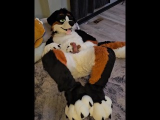 啪！@AngryBarks喜欢操他的脚，直到他射精硬 💦 Bark Bark！