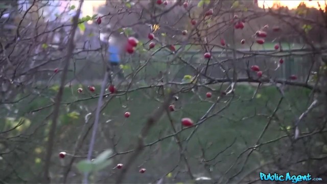 Public Agent - cute Ukrainian Student with great tits takes my cock doggystyle