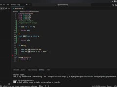#19 Function overloading - Screenshot 10 of 16 - Sfw