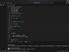 #19 Function overloading - Screenshot 11 of 16 - Cpp