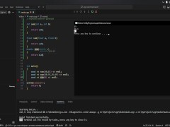 #19 Function overloading - Screenshot 13 of 16 - Programming
