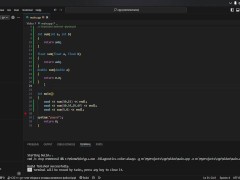 #19 Function overloading - Screenshot 14 of 16 - Coding