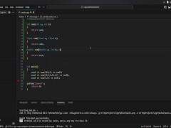 #19 Function overloading - Screenshot 15 of 16 - Sfw