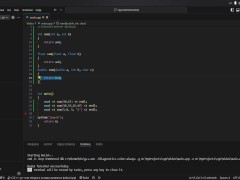 #19 Function overloading - Screenshot 16 of 16 - Cpp