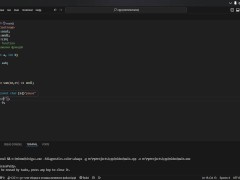 #19 Function overloading - Screenshot 4 of 16 - Coding