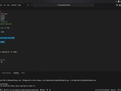 #19 Function overloading - Screenshot 6 of 16 - Cpp