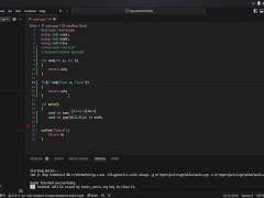 #19 Function overloading - Screenshot 8 of 16 - Programming