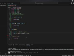 #19 Function overloading - Screenshot 9 of 16 - Coding
