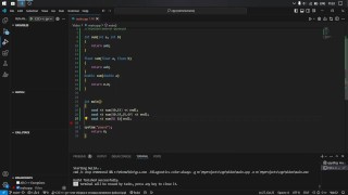 #19 Function overloading