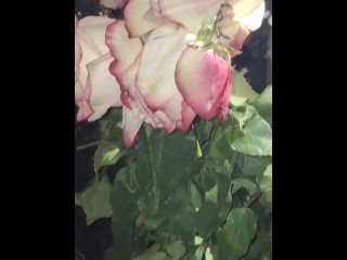 Я дергаю себя за соски в отражении зеркала и цветов