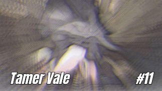 Jeu Hentai: Tamer Vale #11