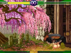 Mai vs Birdie (Mugen) - Screenshot 13 of 16 - Street Fighter