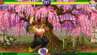 Mai contre Birdie (Mugen)