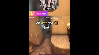 Плохая собака