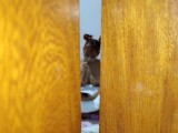 I suck my stepbrother's cock with deep throat
