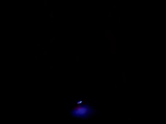 Plug lights - Screenshot 13 of 16 - Butt Plug